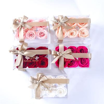 China Wholesale Eternal Decoration Roses Preserved Flower Preserved Flowers In Acrylic Box For Gift 6 Roses for sale