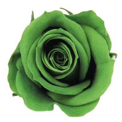 China 2-3cm Grade Perpetual Everlasting Flower A Flower Immortal Roses Preserved Fresh Rose Head for sale