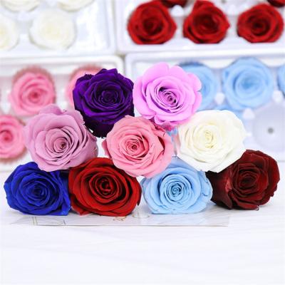 China Perpetual Flower Wholesale Preserved Roses Head 5-6cm Long Standing Roses Preserved Flowers for sale