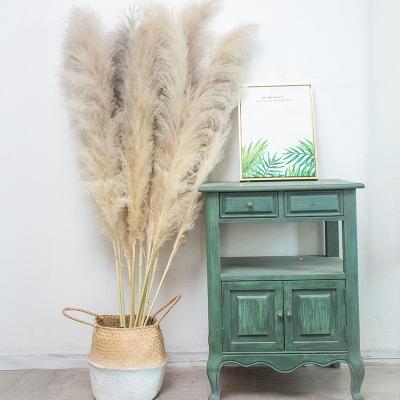 China Natural Dry Tubular Bunch Bouquet Flower Tubular Flowers Plant Large Dry Tubular Phragmites for sale