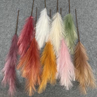 China Feathers Wedding Cloth Wool Peacock Road Guide Decoration Phragmites Tubular Australis Silk Feathers Fake New for sale