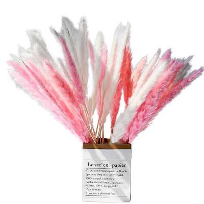 China Bouquet Preserved Tubular Reed Reed Dried Flower Bouquet Home Phragmites Reed Flower Stem Decoration for sale