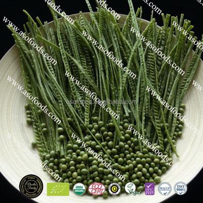 China Green Soy Gluten Free Organic Gluten Free Vegan Food Packaged Bean Nudel Noodle Pasta Cila Fettuccine Nodels Products Production Line for sale