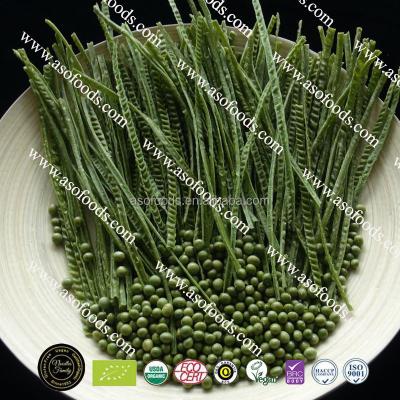 China Factory Wholesale Gluten Free Fettuccine Pasta Italian Vegan Green Soybean Edamame Production Line Manufacture Packaged Noodle for sale