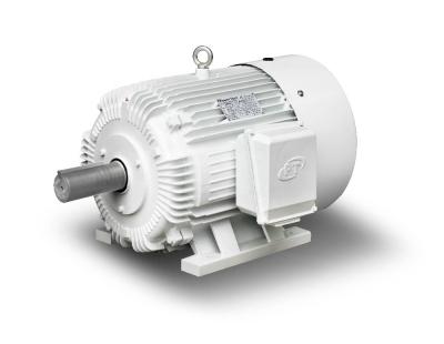 China Totally Enclosed Three Phase Petroleum Well Pump Design D 900RPM NEMA Electric Motor 125 Hp for sale