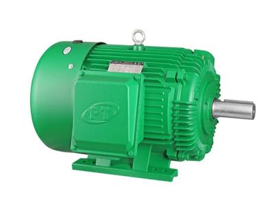 China NEMA Totally Enclosed Design B 1200RPM 125hp 3 Phase Squirrel Cage Induction Motor for sale