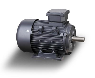 China Y2 Series 160l-4 15kw Totally Enclosed Three Phase AC Induction Electric Motor for sale