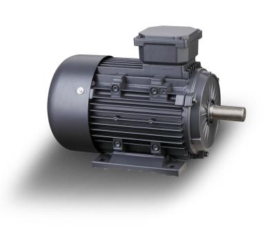 China Series 4 Totally Enclosed Cast Iron Pole Three Phase Asynchronous Electric Motor 4kw YE2 for sale