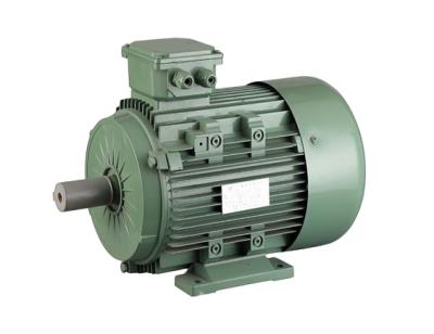 China YE2 High Efficiency Totally Enclosed Three Phase Asynchronous AC Motor For Pumps And Other Transportation Machinery for sale