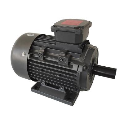 China Totally Enclosed Three Phase AC Induction Pole Series 2 Electric Motor 22kw YE3 for sale