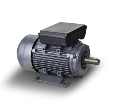 China Totally Enclosed YL 1430 RPM 2.2kw Capacitor Start Single Phase Induction Electric Motor for sale