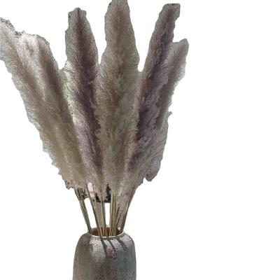 China Indor Decoration Home Decor Preserved Flowers Nature Pampas Grass Decor No Chemical Smell Big Pampas Grass Gray Big Pampas for sale