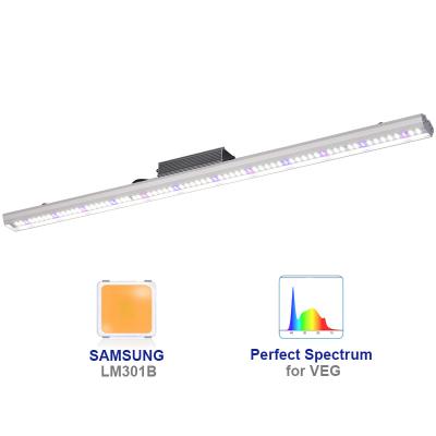 China Factory led grow light best cheap 80w 100w 120w 150w veg spectrum plant lamp strips blue red blue metering bar led grow lights for sale