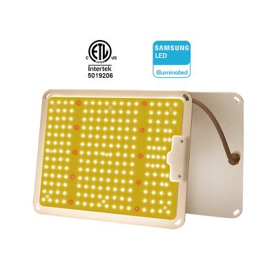 China Seed starting 100watt 120watt 150watt full spectrum lm301h lm301b 301h cob v3 sf-1000 diy led to grow light board for sale