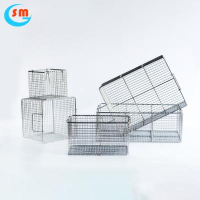 China Filters Rectangle Stainless Steel Wire Mesh Screen Basket Strainer for sale