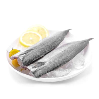 China Wholesale Low Fat Seafood Mackerel Cuts Fillet Mackerel Block for sale