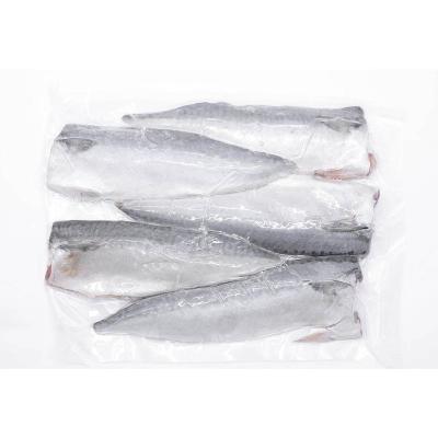 China Good Quality Low Fat And Healthy Frozen Mackerel Block Mackerel Cuts Fillet for sale