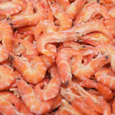 China VANVANMEI FROZEN RED SHRIMP for sale