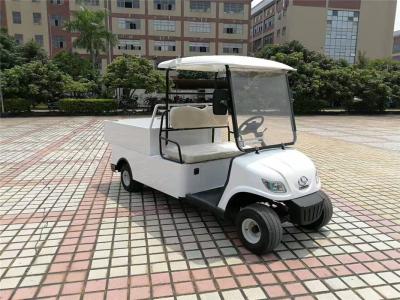 China Compacte Elektrische Ladingsauto, 2 Seater Elektrische Auto met 2pcs-Achteruitkijkspiegel Te koop