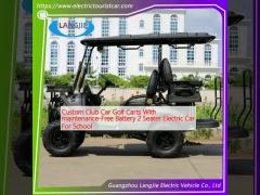 Custom Club Car Golf Carts With maintenance-Free Battery 2 Seater Electric Car For School