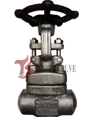 China SS316 Forged Steel Valves Handwheel Operated , Rising Stem Butt Weld Gate Valve for sale