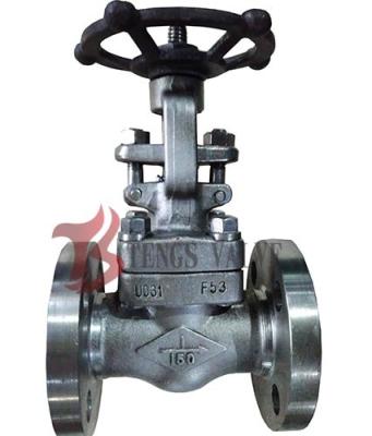 China Flanged Forged Steel Valves , Super Duplex Stainless Steel Gate Valve for sale