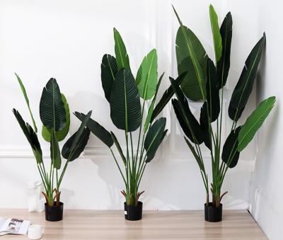 China Artistic Rental Cheap Plastic Artificial Plants And Trees With Broad Leaf for sale