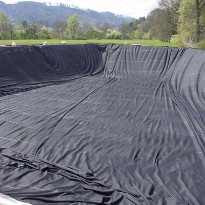 China Widely Used Superior Quality Pond Liner Geomembrane for sale