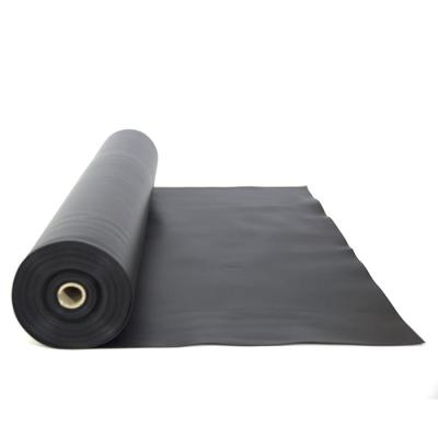 China 1.0mm 2.0mm HDPE LDPE Plastic Geomembrane for Pond Landfill Water Tank Root Barrier for sale