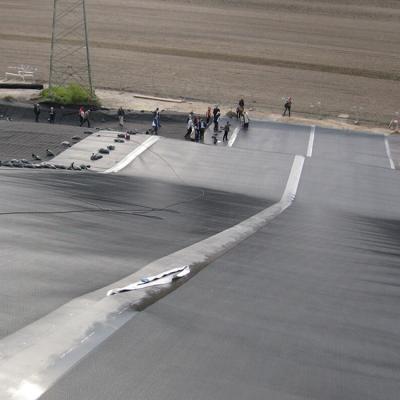 中国 500 microns HDPE Geomembrane Fish Farm Pond Membrane 販売のため