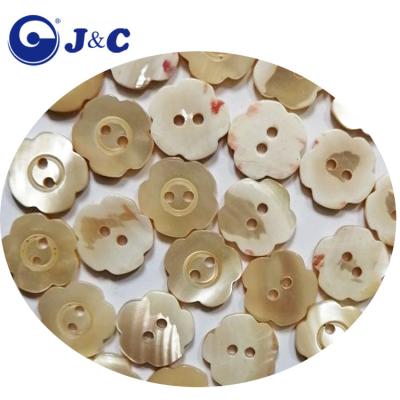 China Viable 2 holes flower form natural trochus shell buds for sale