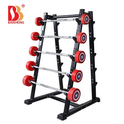 China 50*100*3.0mm Oval Tube Steel Best Selling 10 Piece Barbell Rack Motor Gym Equipment for sale