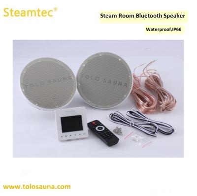 China Waterproof Computer Control Panel Spa Speaker Bath Speaker for sale