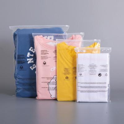 China Recyclable Dusty Proof Wholesale Eco Friendly Custom Frosted Zipper Bag For Cloth Packing Gift Bags For Kids Clothes Packaging for sale