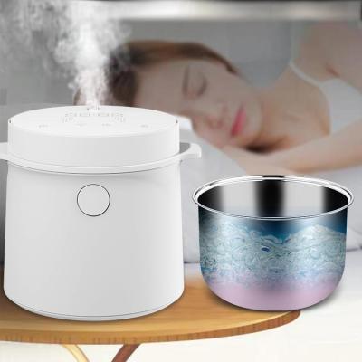 China Sterilization Humidifier New Product Stainless Steel Humidifier 3l Rice Cooker High Temperature Humidifier for sale