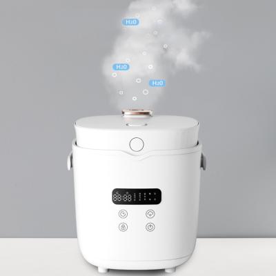 China Latest Korea Air Humidifier High Temperature Room Humidifier Personal Humidifier Sterilization Space Air Humidifier for sale