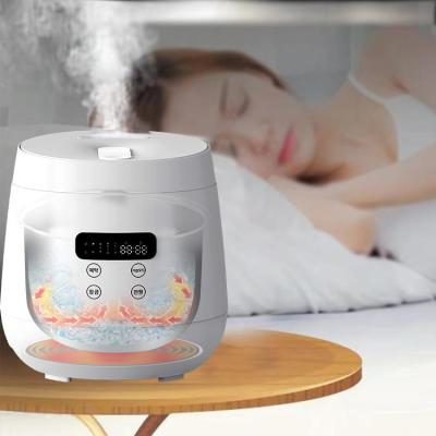 China 100C High Temperature Nebulizer Heating Water Mist Diffuser Humidifier Warm Air Sterilization Humidifier Moisturizing and Sterilizing to Protect Health for sale