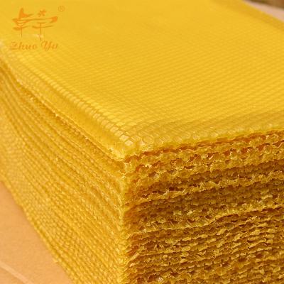 China Bee View Beekeeping Tools Factory Directly Supply Beeswax Base Sheet and Beeswax Comb Sheet for sale