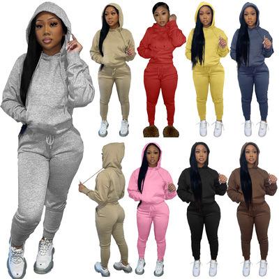 China Popular Style Hoodies Tracksuit Single Plush Breathable Casual Jogging Fitted Women Two Piece Sets for sale