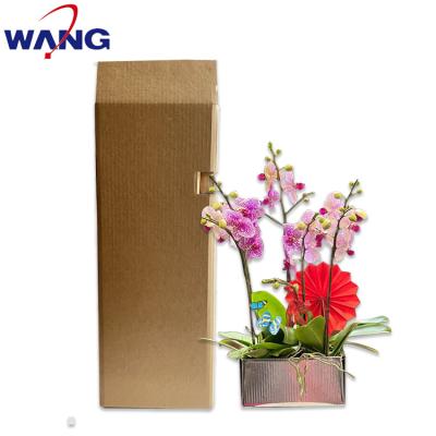 China Recyclable Safe Transportation Waterproof And Moistureproof Cardboard Insulated Paper Box Flower Packing Cartons for sale