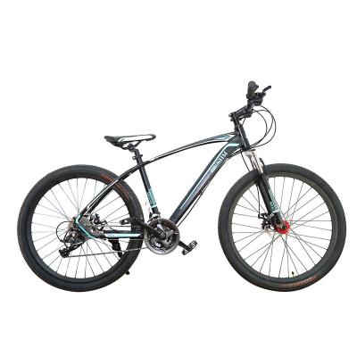 China High Quality Steel And Certified For Adults OEM Customized Mountain BIKE for sale