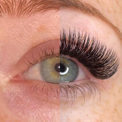 China Premade 8d Natural Volume 0.03 Fans Easy Eyelash Extension Heat Bonded Lashes L Loop C Loop Tape Lashes for sale