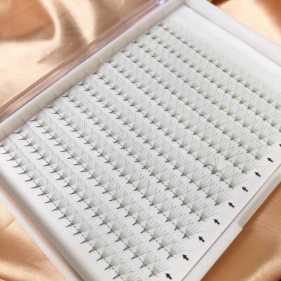 China Promade Natural Loose Volume Fans Trays Eyelash Extensions Makers Bottom Lash Extensions for sale