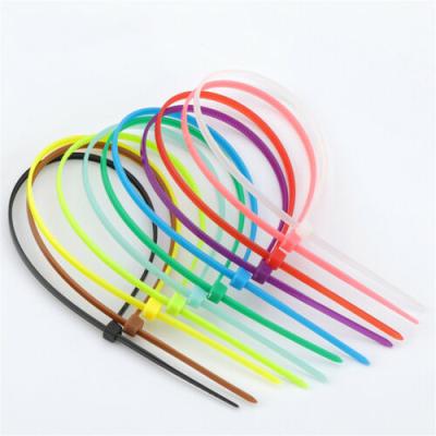 China JAGASL Self Locking High Quality Assorted Sizes Customized Colors Individual Locking Nylon Cable Tie for sale