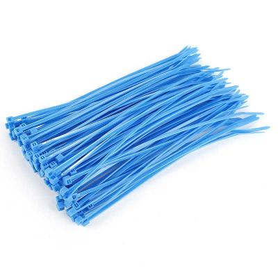 China JAGASL Factory Hot Selling Adjustable Durable Self-locking Plastic Wrap Cable Ties for sale