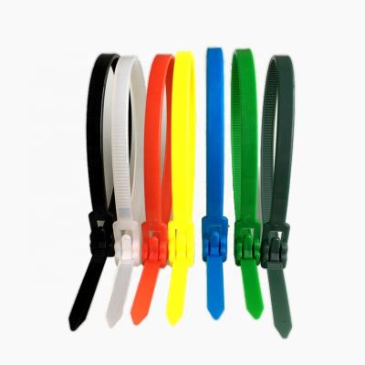 China JAGASL Good Quality Standard Cold-resistant Colored Waist Buckle Releasable Nylon Adjustable Cable Tie for sale