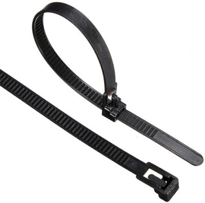 China Good Quality Cold-resistant Colorful Buckle JAGASL Releasable Nylon Cable Tie for sale