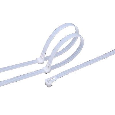 China Jagasl Good Quality 8*400 Best Price Various Cold-resistant Nylon Releasable Cable Ties for sale