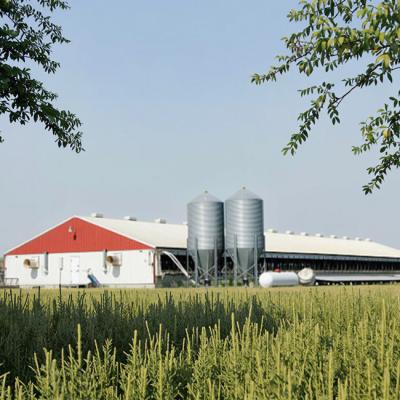 China Metalen frame staal structuur koeienstal geprefabriceerd boerderijstal gebouw Te koop