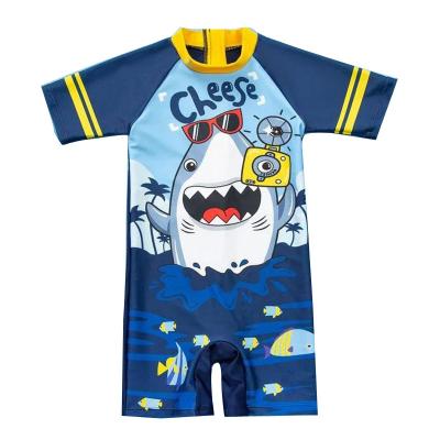 China 2022 One-Piece Baby Swimwear Toddler Boy Swimming Suit Children's Swimming Suit Dinosaur Boys Swimwear Baby Boy Swimsuit UV Breathable Kid Swimwear for sale